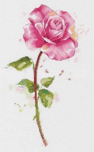 (image for) Watercolour Rose